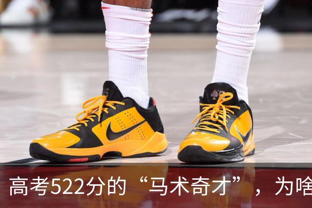 高考522分的“马术奇才”，为啥要学钉蹄？